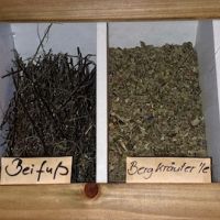 Goldstück Andrea Schultes20230912_102756.jpg