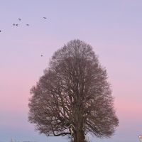 Drachenhüter Ausbildung 11.jpg