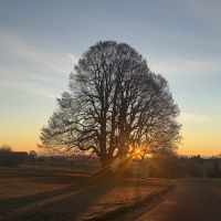 Drachenhüter Ausbildung 9.jpg