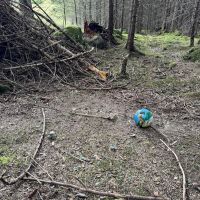 Nenzinger Himmel 2024 14.jpg