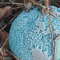 Drachenhüter Ausbildung 12.jpg