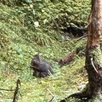 Nenzinger Himmel 2024 8.jpg