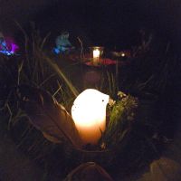 f70737f9-45cb-4fad-b0ca-d1742a30e1d4 2.JPG